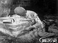 北京顺义水上公园投资发展中心