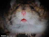 北京顺义水上公园投资发展中心