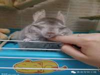 北京顺义水上公园投资发展中心
