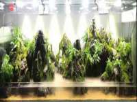 北京顺义水上公园投资发展中心