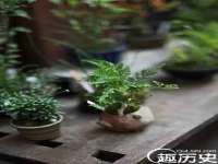 北京顺义水上公园投资发展中心