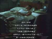 北京顺义水上公园投资发展中心