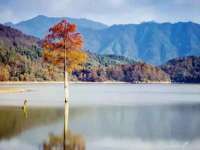 北京顺义水上公园投资发展中心