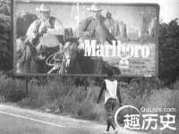 北京顺义水上公园投资发展中心