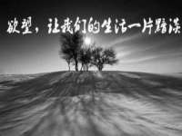 北京顺义水上公园投资发展中心