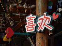 北京顺义水上公园投资发展中心