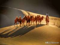 北京顺义水上公园投资发展中心