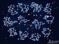 北京顺义水上公园投资发展中心
