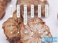 北京顺义水上公园投资发展中心