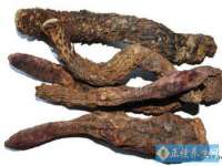 北京顺义水上公园投资发展中心