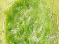 北京顺义水上公园投资发展中心