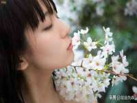 北京顺义水上公园投资发展中心