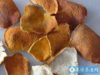 北京顺义水上公园投资发展中心