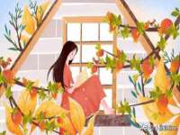 北京顺义水上公园投资发展中心