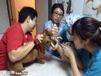 北京顺义水上公园投资发展中心