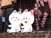 北京顺义水上公园投资发展中心