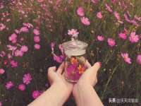 北京顺义水上公园投资发展中心