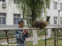 北京顺义水上公园投资发展中心