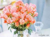 北京顺义水上公园投资发展中心