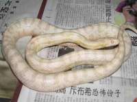 北京顺义水上公园投资发展中心