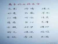 北京顺义水上公园投资发展中心