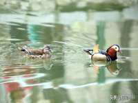 北京顺义水上公园投资发展中心