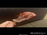 北京顺义水上公园投资发展中心