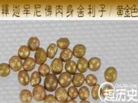 北京顺义水上公园投资发展中心
